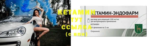 гидра Кинешма