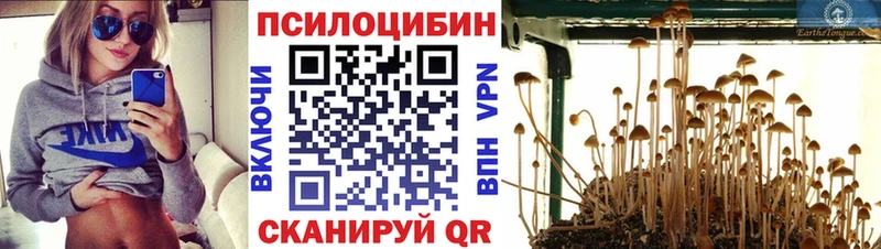 Псилоцибиновые грибы Cubensis Купить закладки Новый Оскол